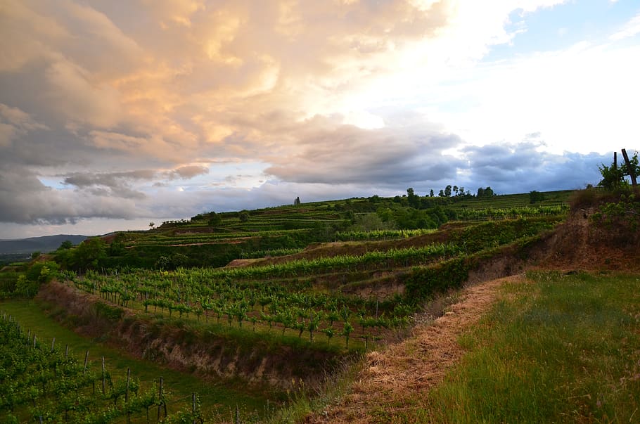 enoturismo navarra rioja oriental