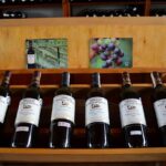 mejores vinos tintos vintage 2018