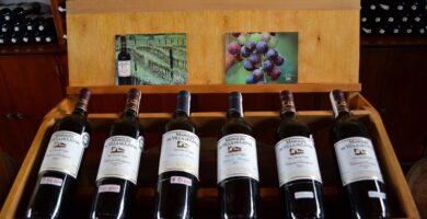mejores vinos tintos vintage 2018