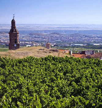 turismo de vino tudelilla - enoturismo