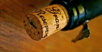 vinos acorchados - bouchonne