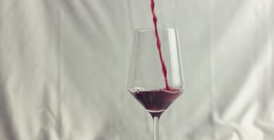 como catar vino paso a paso